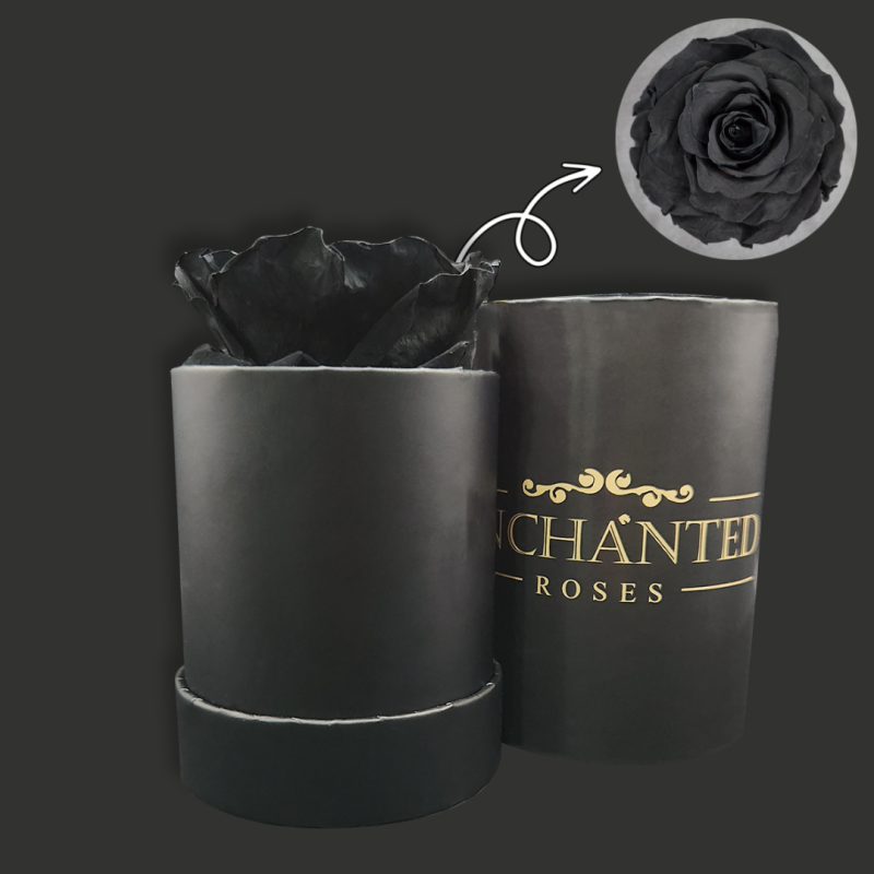 Rose In A Box Black