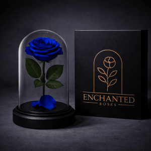 Rose Dome Dark Blue