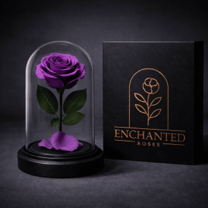 Rose Dome Violet